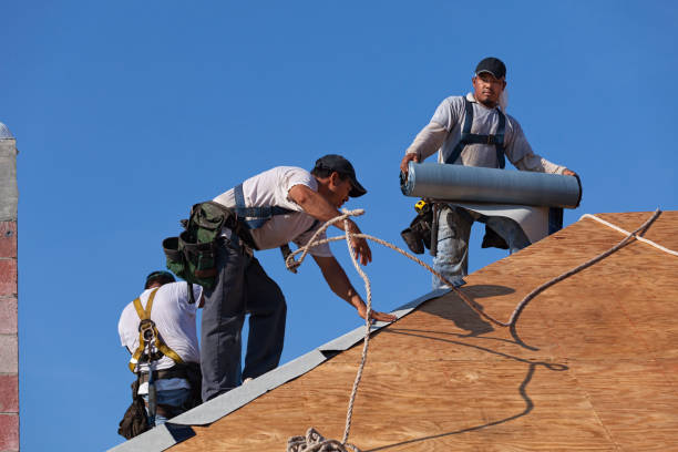 Best Flat Roof Repair Services  in Columbus Junction, IA